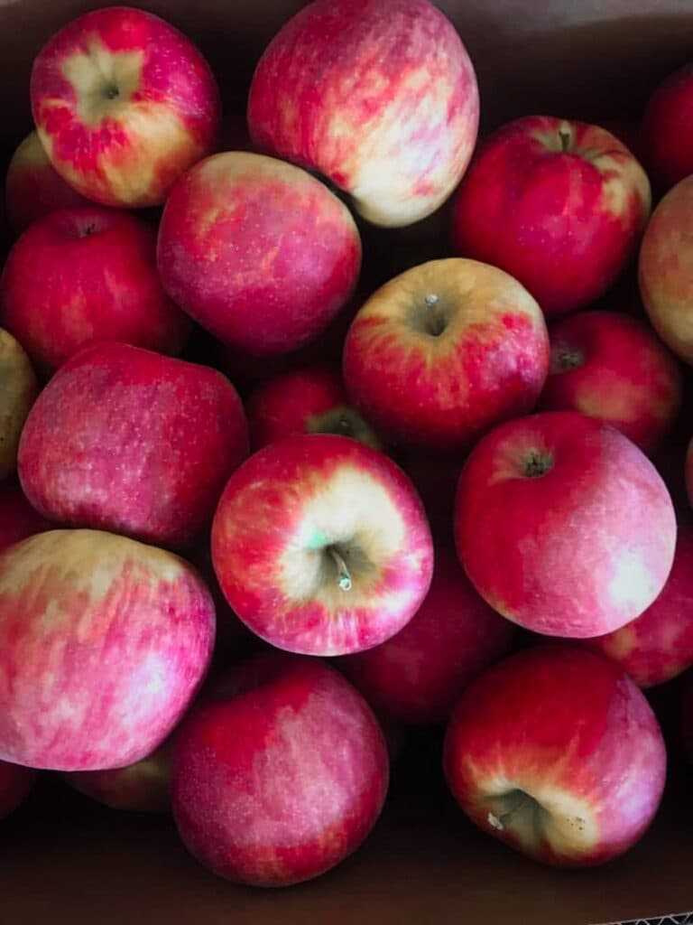 Snake River Orchard photo 2