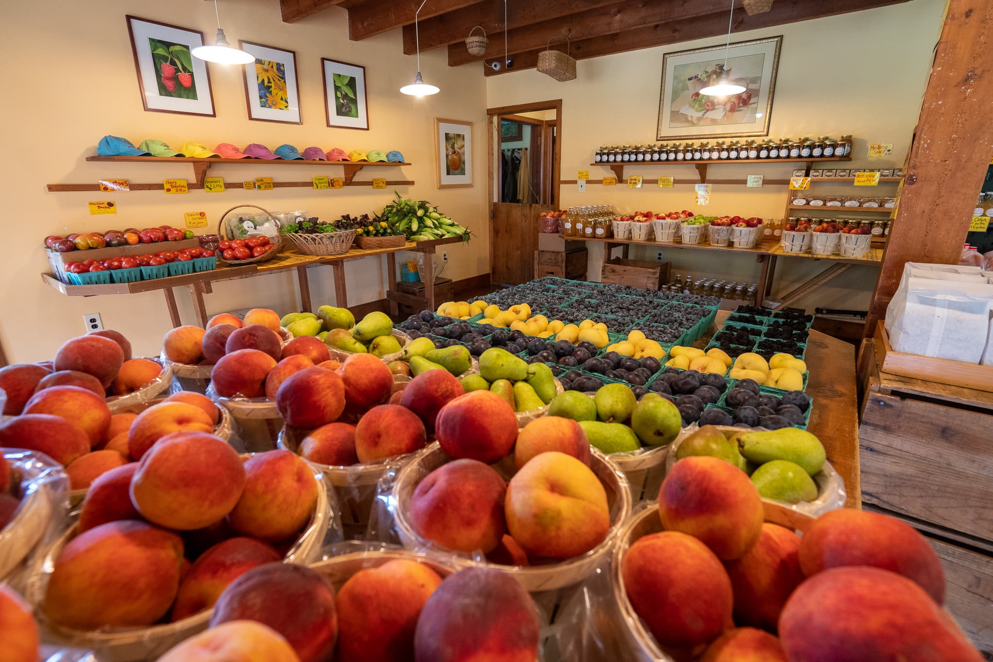 Solebury Orchards photo 2