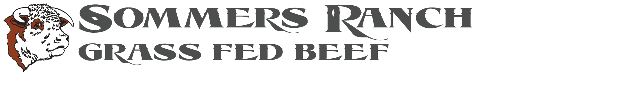 sommers ranch grass fed beef photo 2