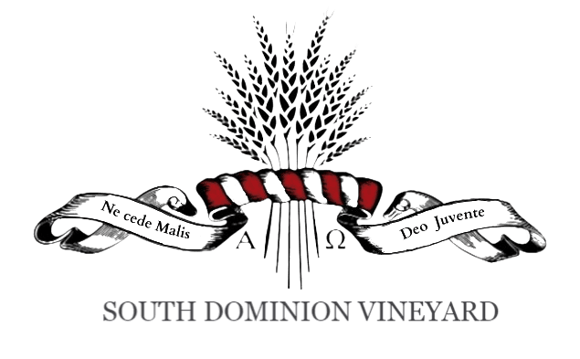 South Dominion Vineyard photo 2