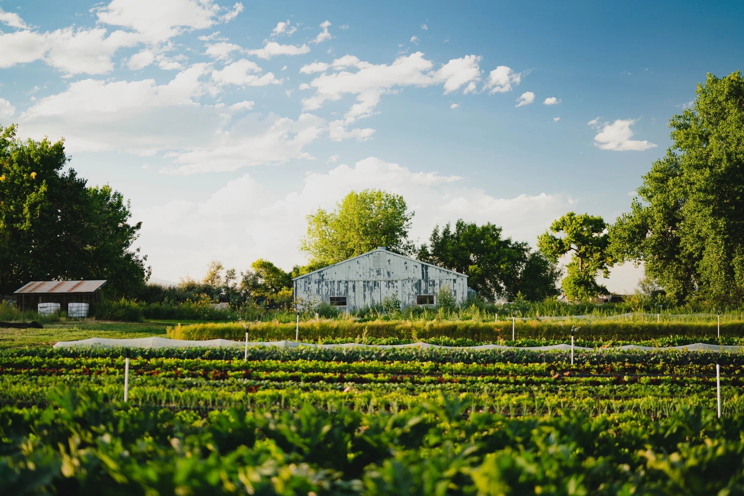 Speedwell Farm & Gardens photo 2
