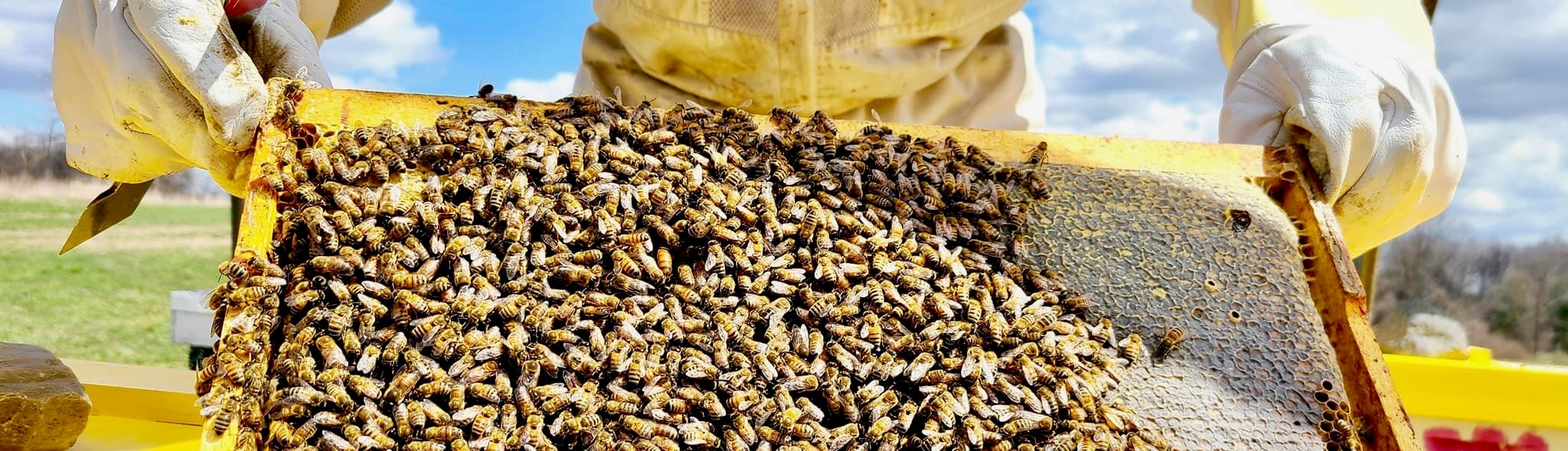 Spencer Apiaries