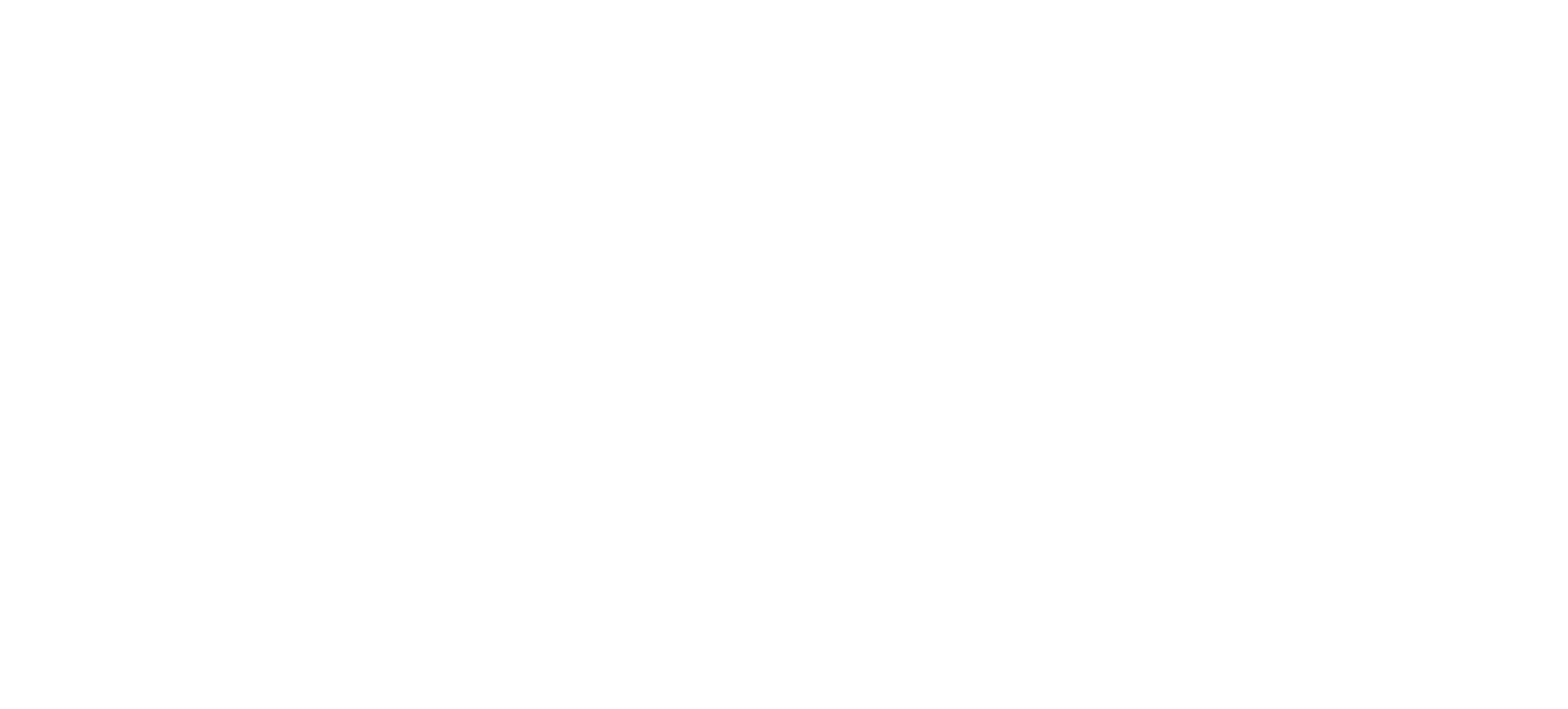 Split Spirits