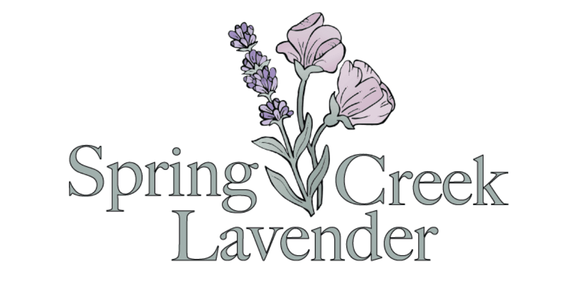 Spring Creek Lavender
