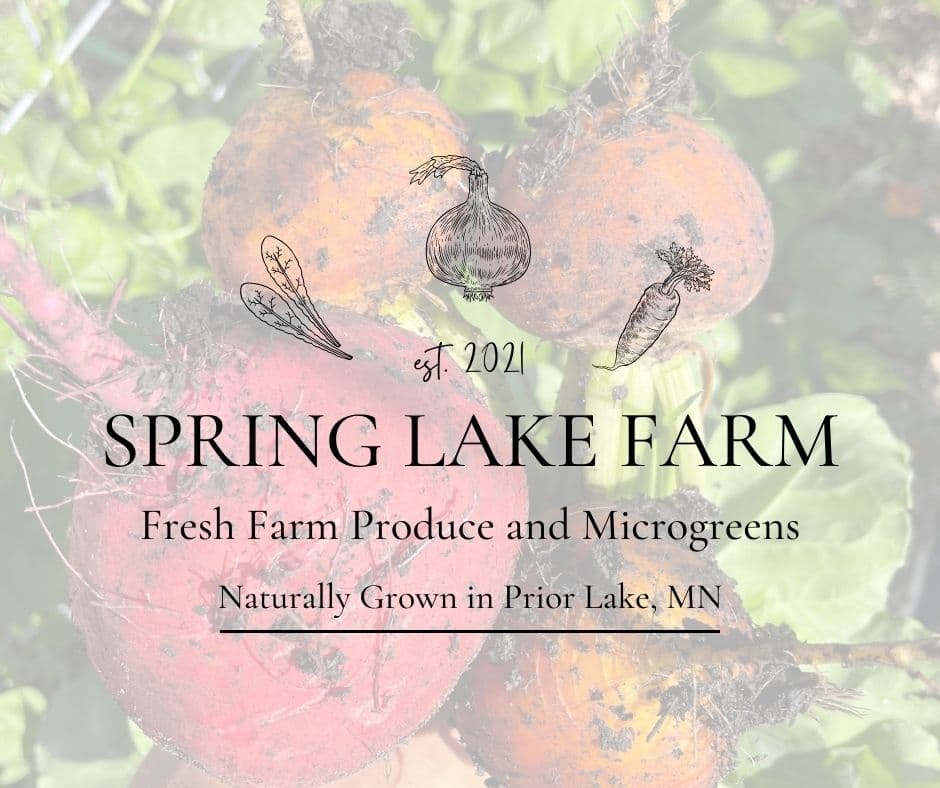 Spring Lake Farm