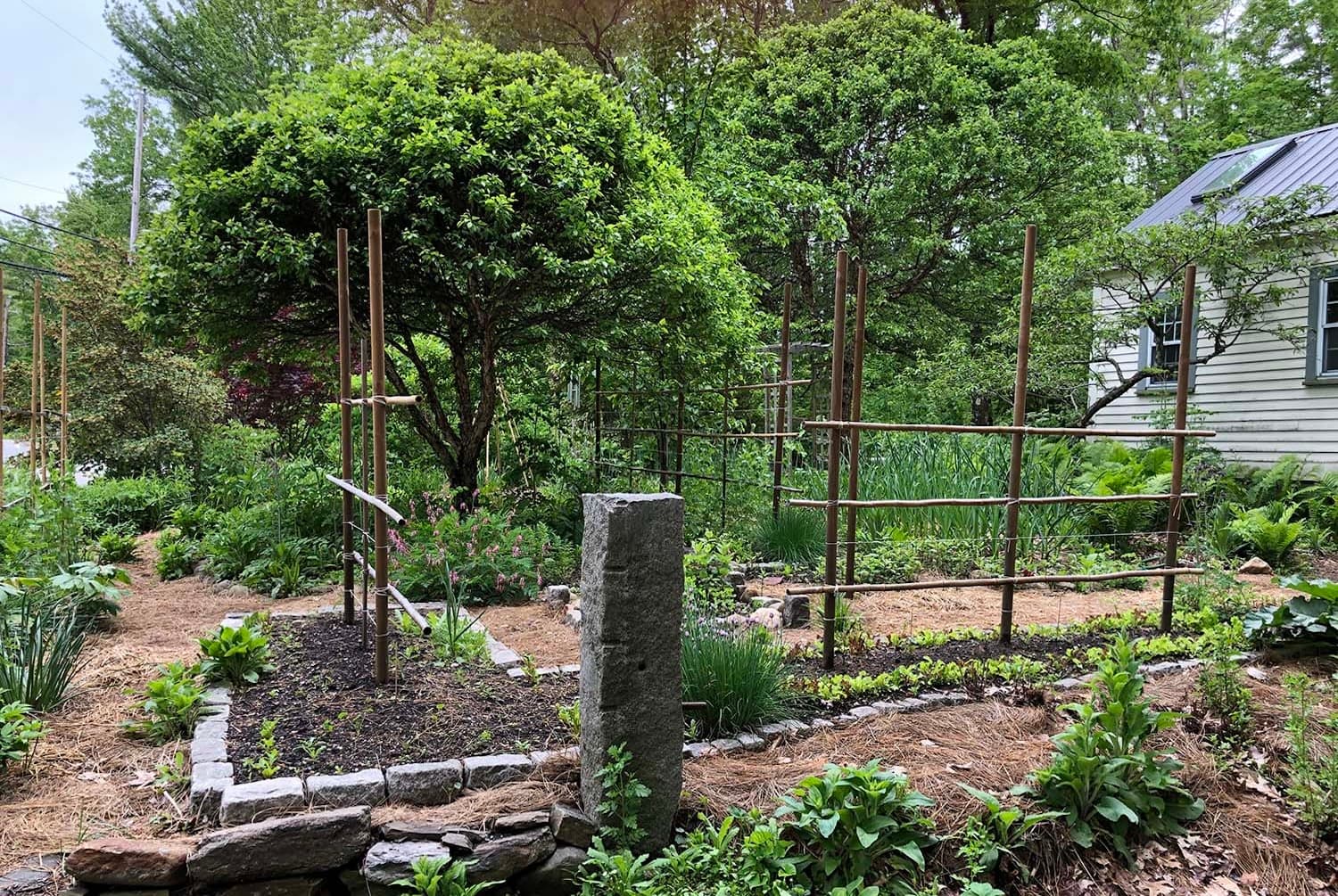 Stage Road Gardens photo 2