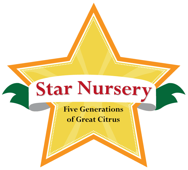 Star Nursery photo 2