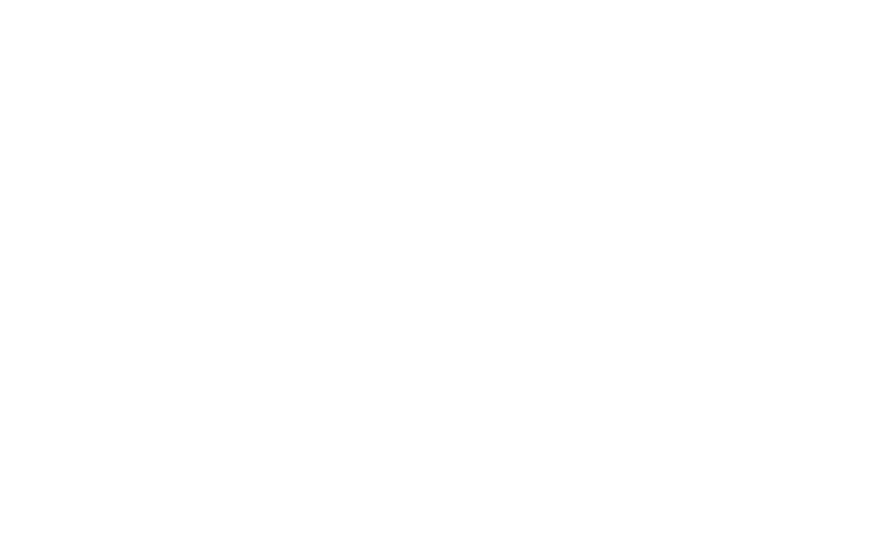 Starbird Wild Fish photo 2
