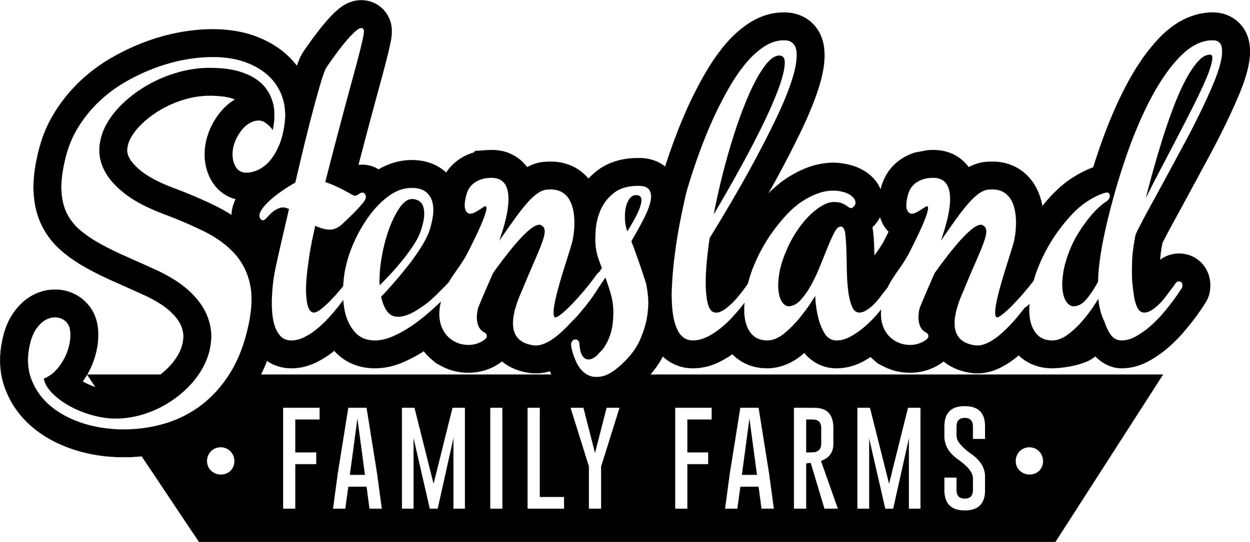 Stensland Family Farms Ice Cream photo 2