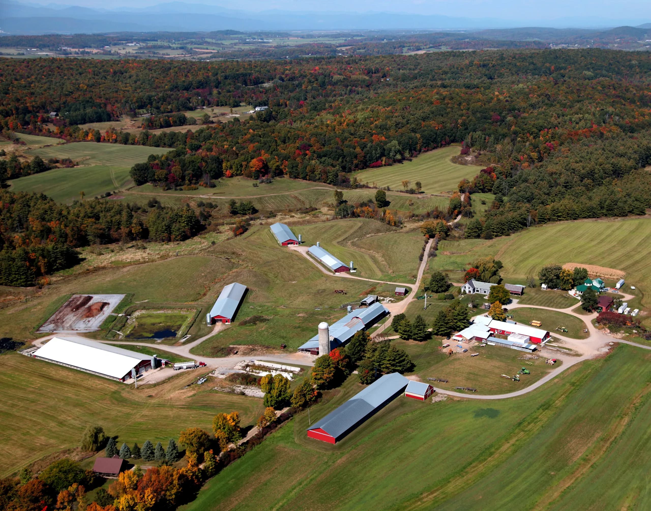Stonewood Farm Inc photo 2