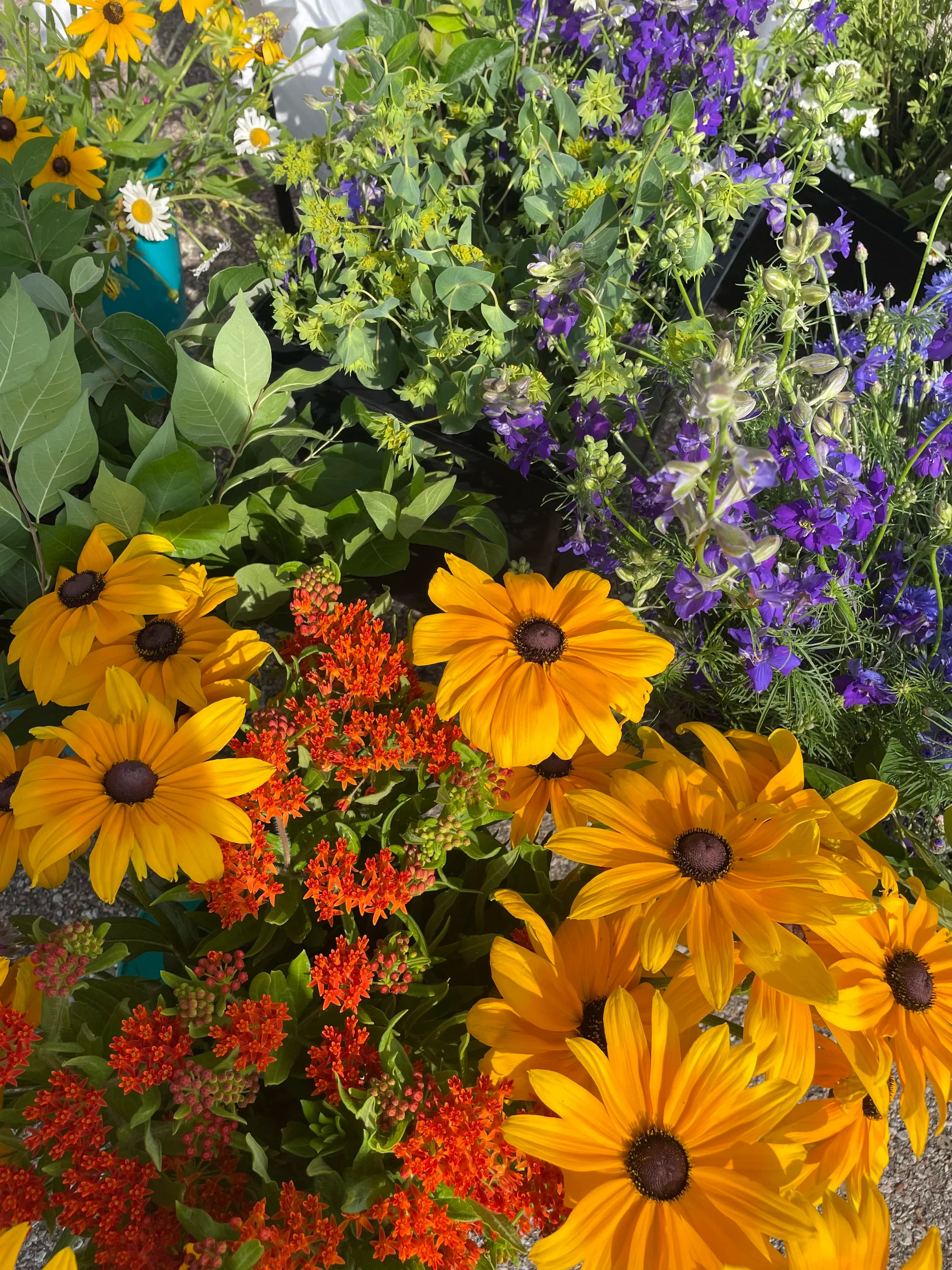 Storybook Flower Farm