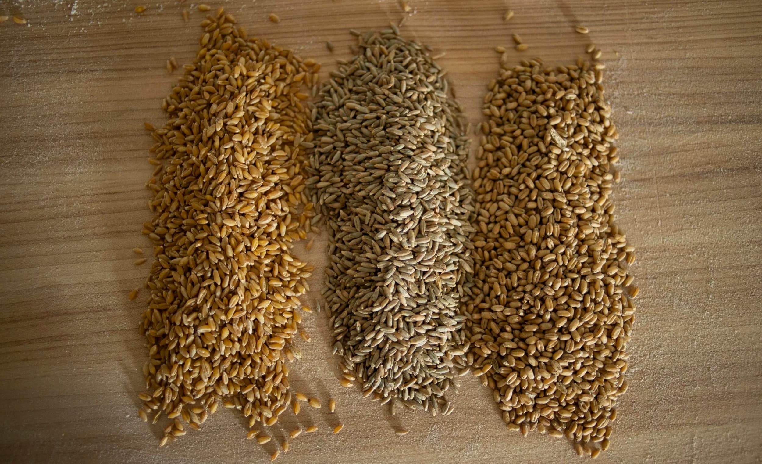 Straw Cove Baking Co. photo 2