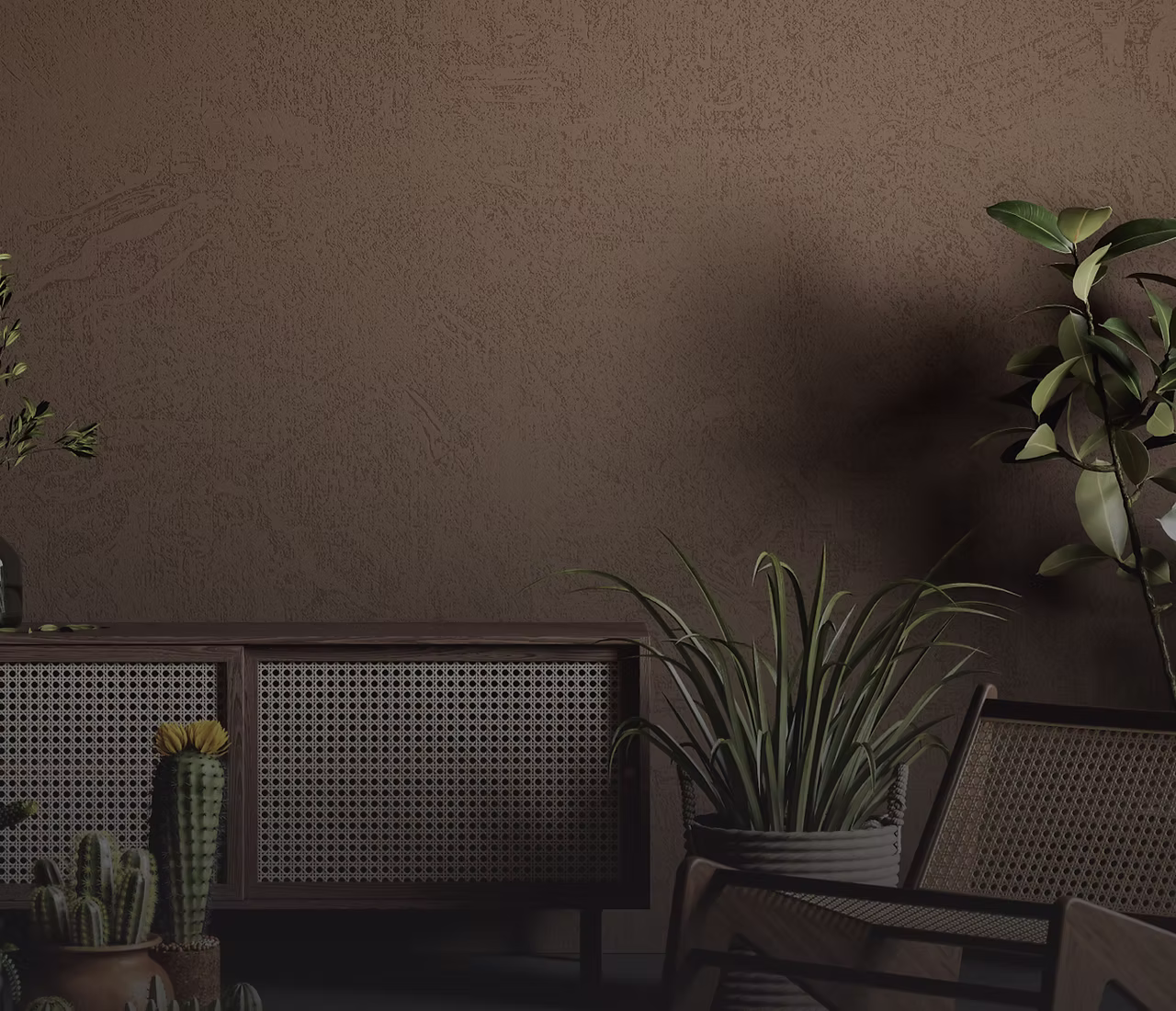 Succulents by Sakina