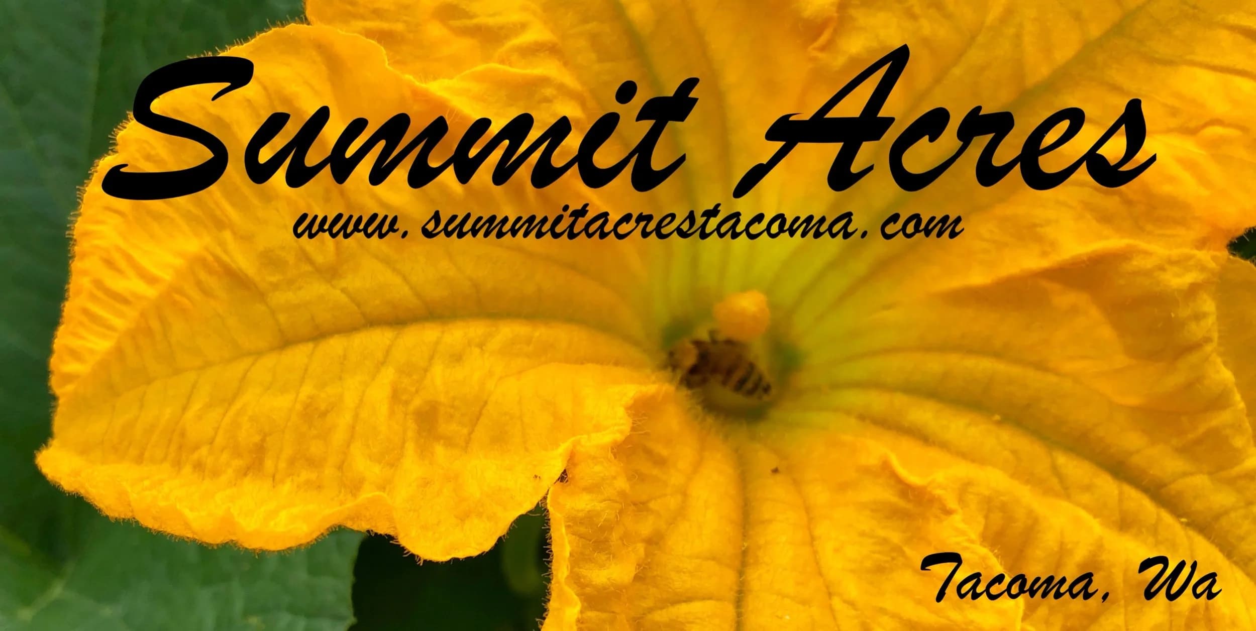 Summit Acres