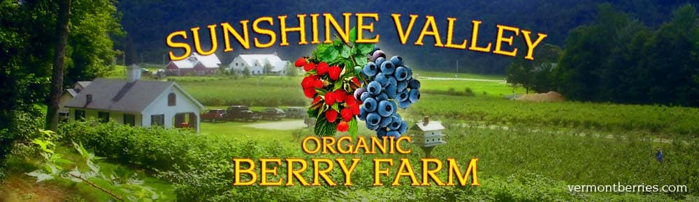 Sunshine Valley Berry Farm