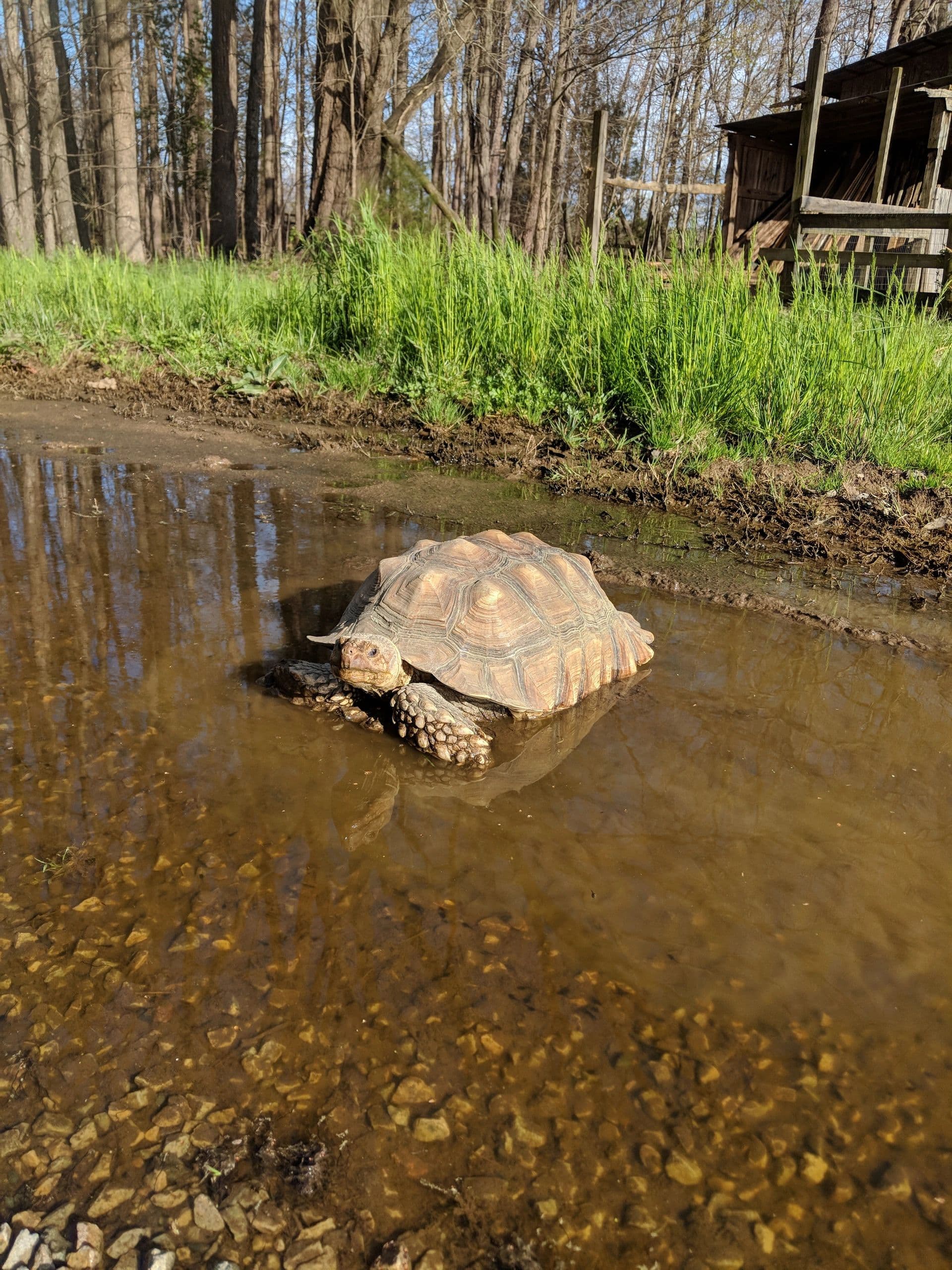 Super Rad Farm photo 2