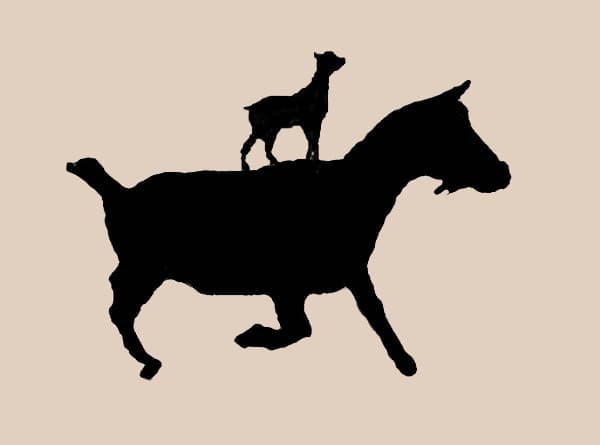 Surfing Goat Soap photo 2