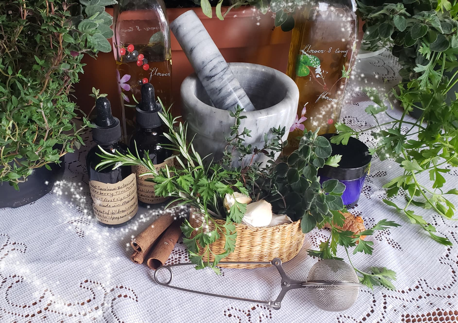 Sweet Caroline's Botanicals photo 2