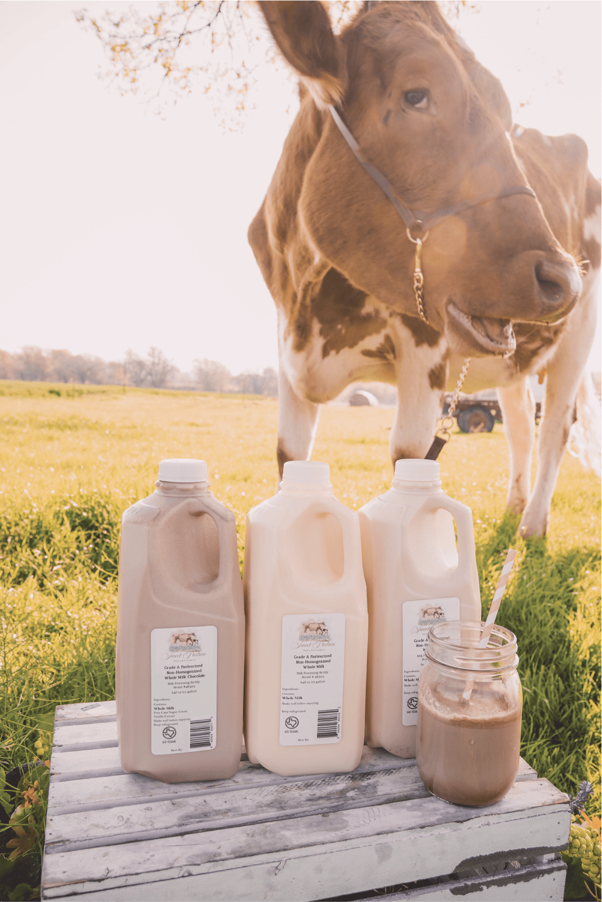 Sweet Pasture Dairy LLC Farm Store photo 2
