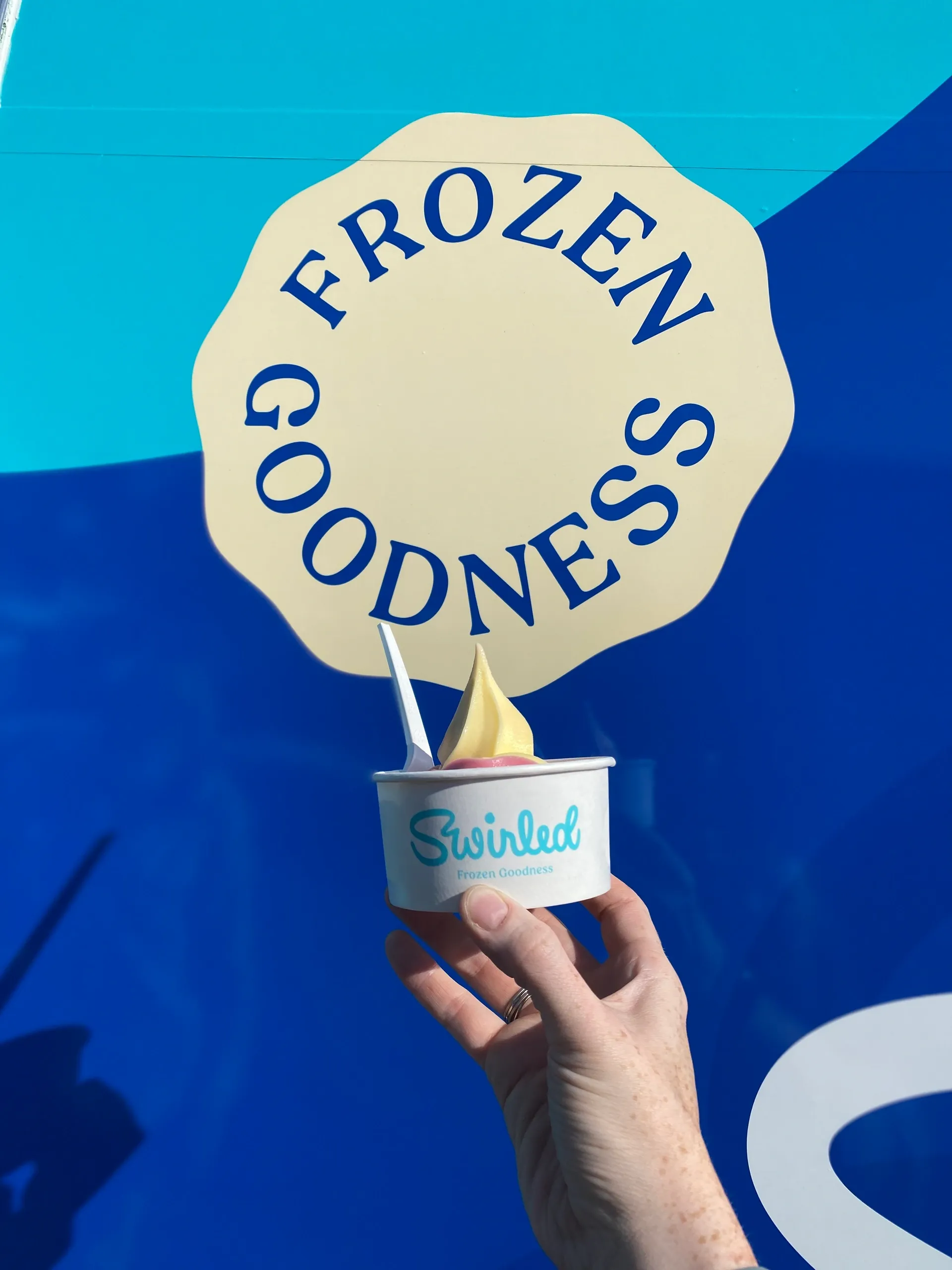 Swirled Frozen Goodness