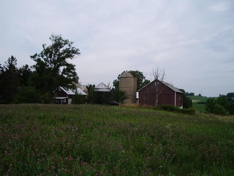 Swiss Frau Farm photo 2