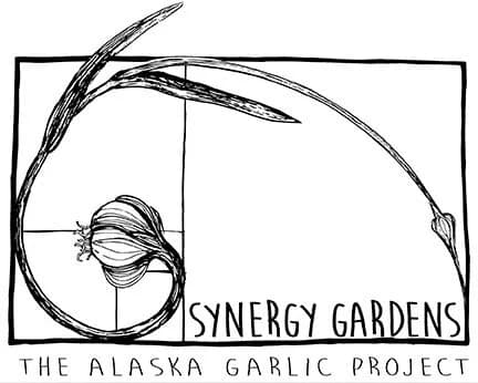 Synergy Gardens and the Alaska Garlic Project