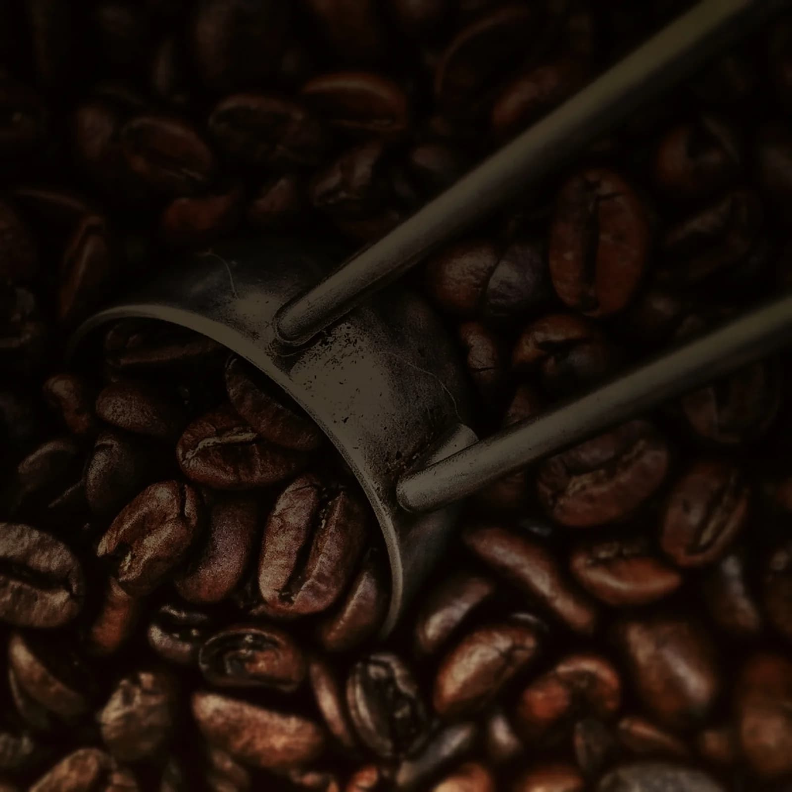 Tall cat coffee