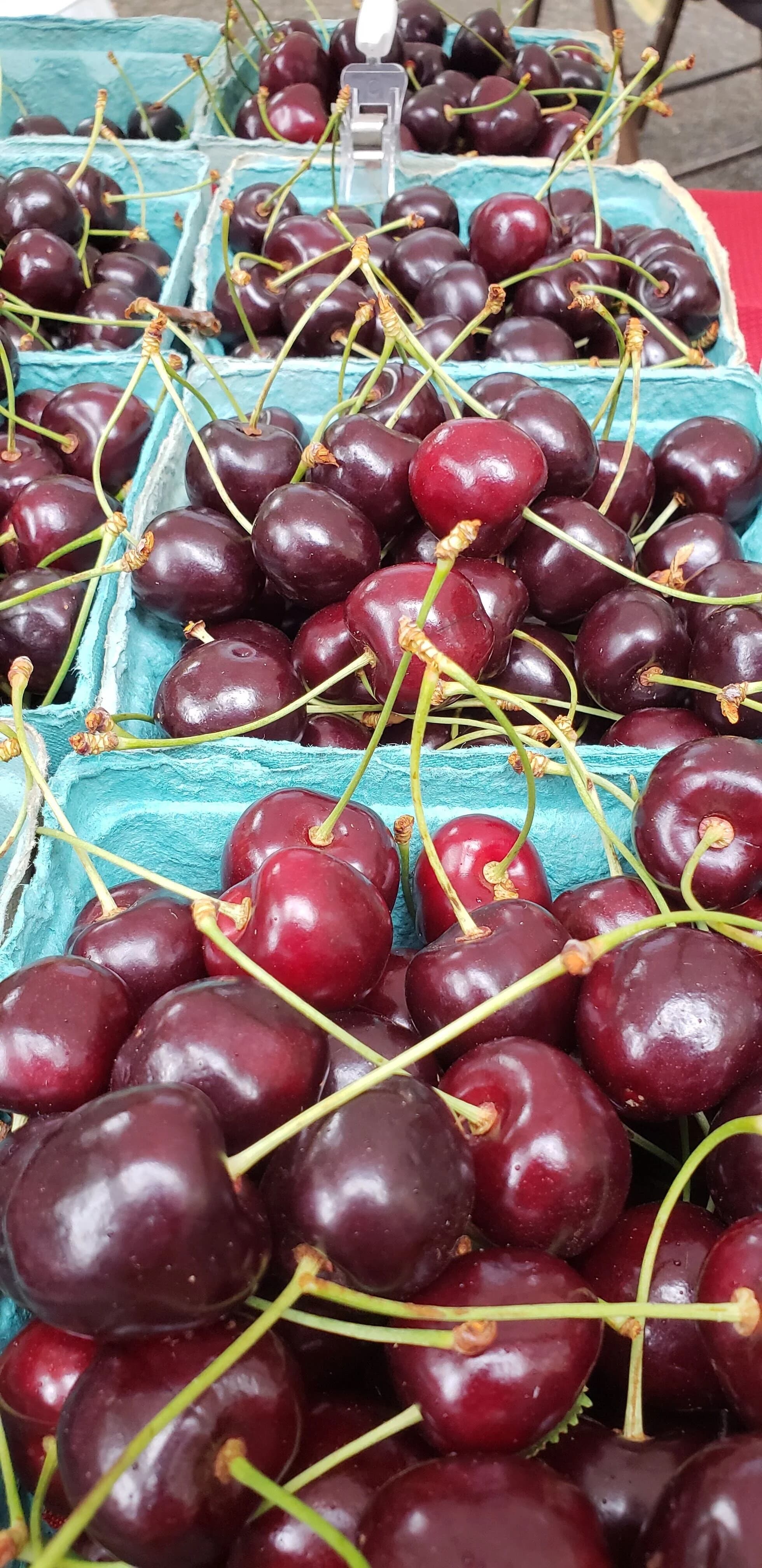 Tamiyasu Orchards