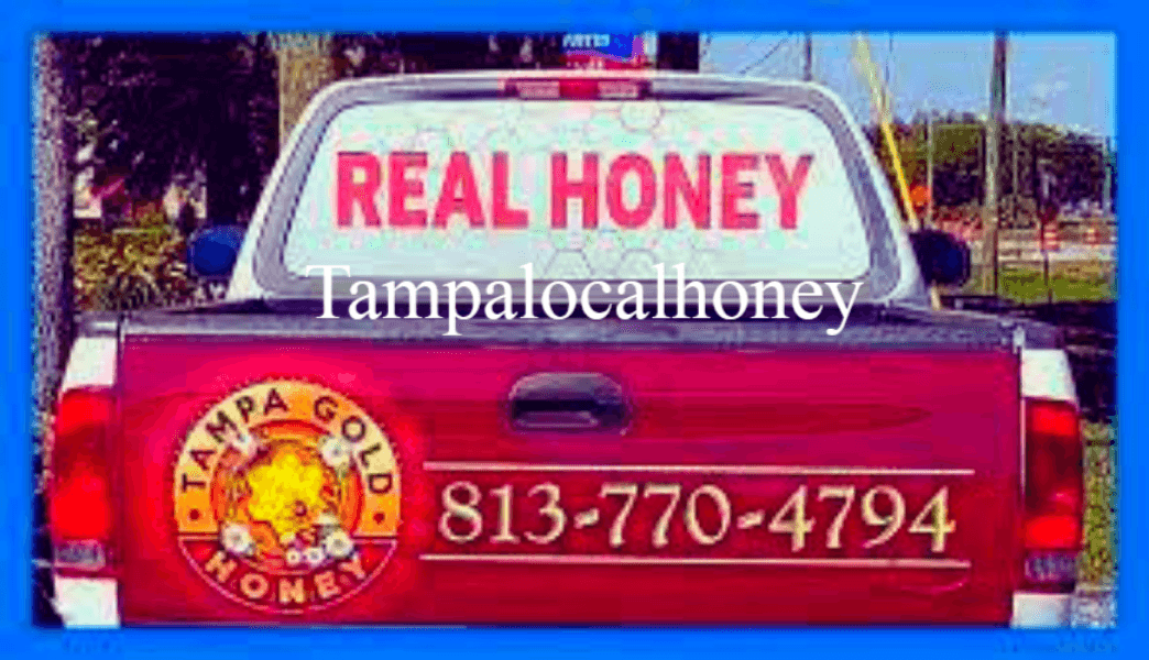 Tampa Gold Honey
