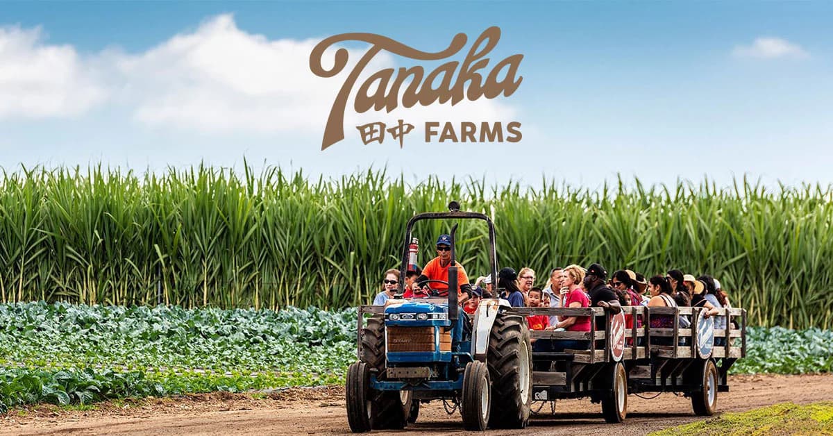 Tanaka Farms photo 2