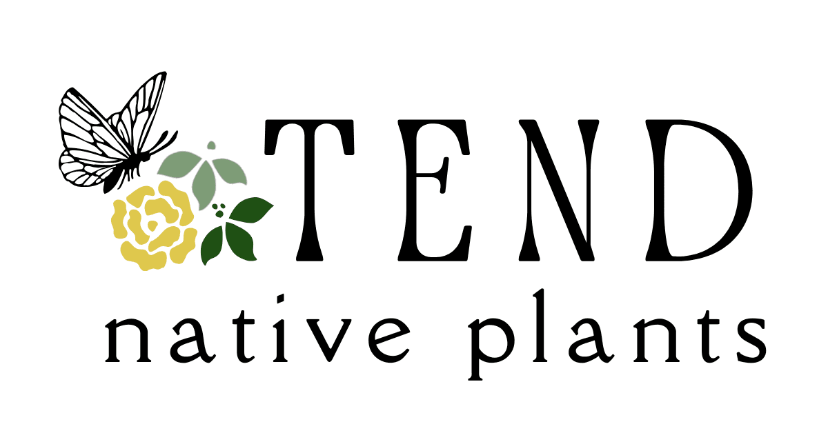 Tend Native Plants photo 2