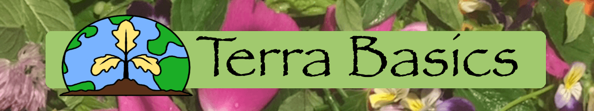 TerraBasics