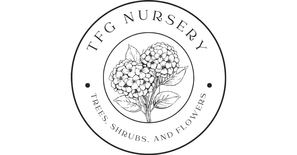 TFG Nursery