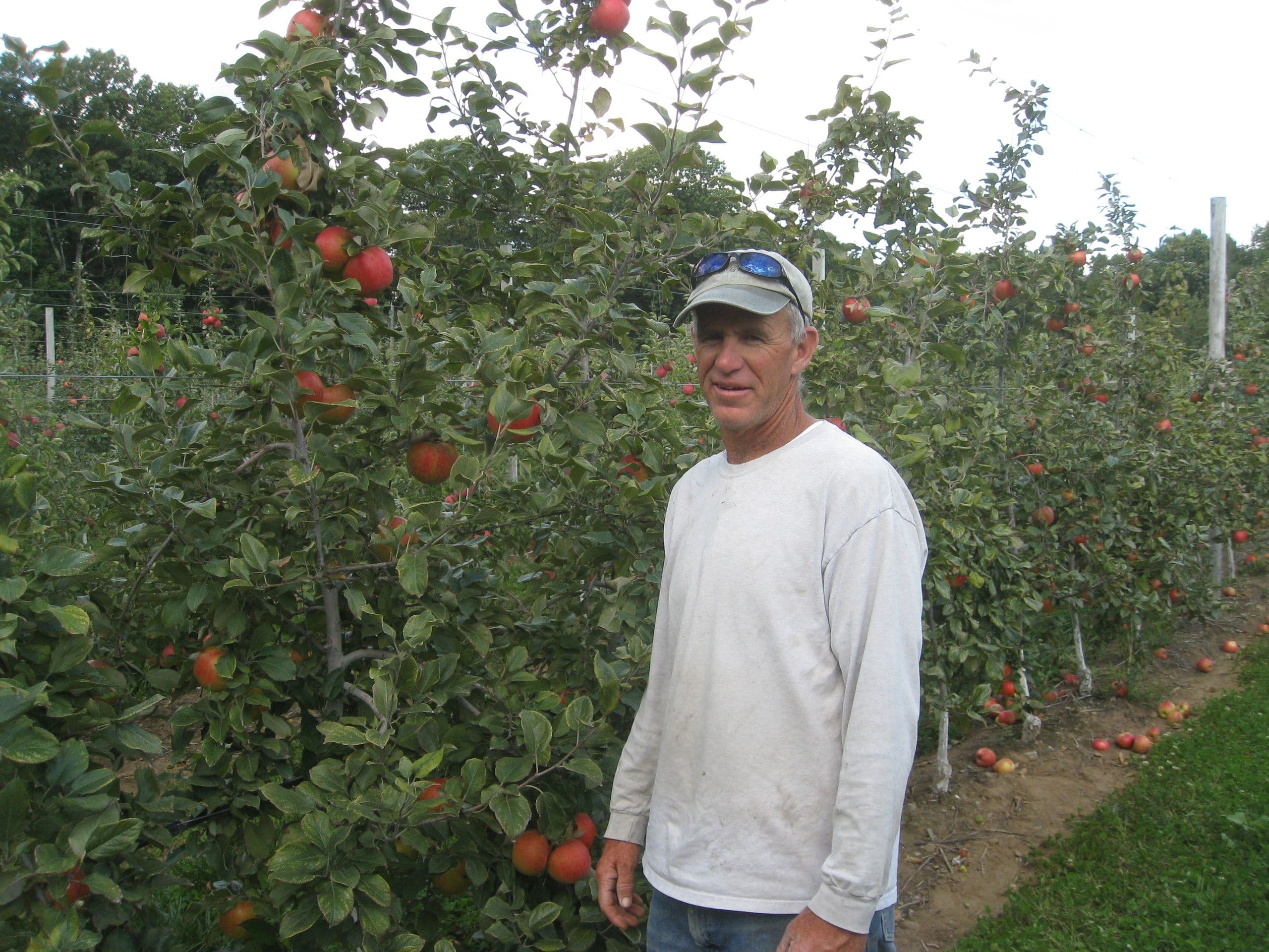 The Barden Family Orchard photo 2