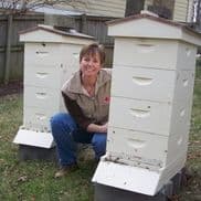 The Bee Farm