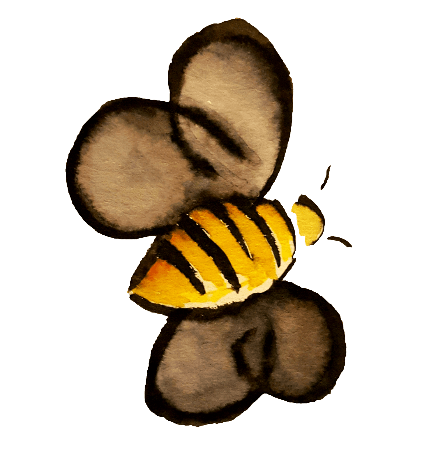 The Bee Hive @ Sweet Life Honey Farm photo 2