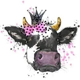 The Charming Bull Boutique photo 2