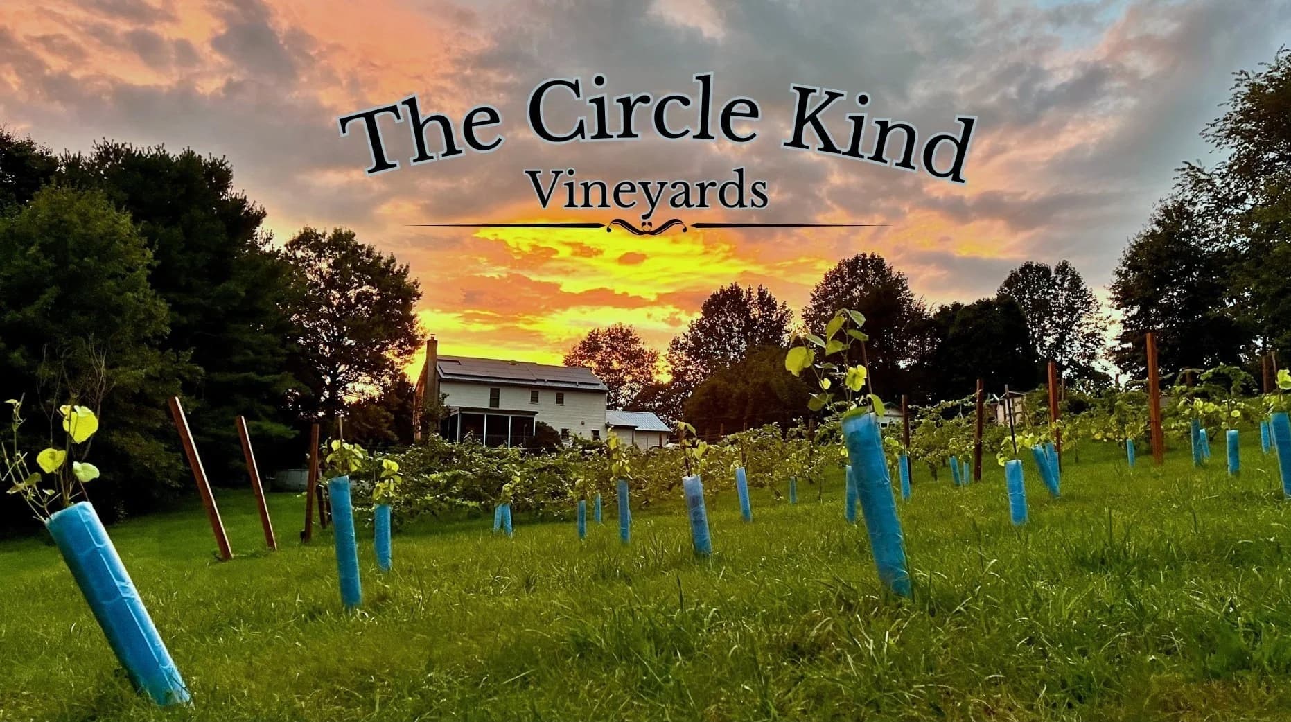 The Circle Kind Vineyards