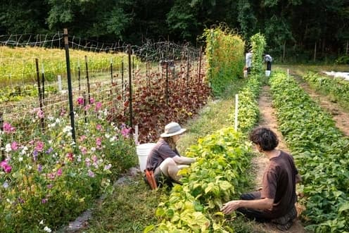 The Evergreen State College Organic Farm