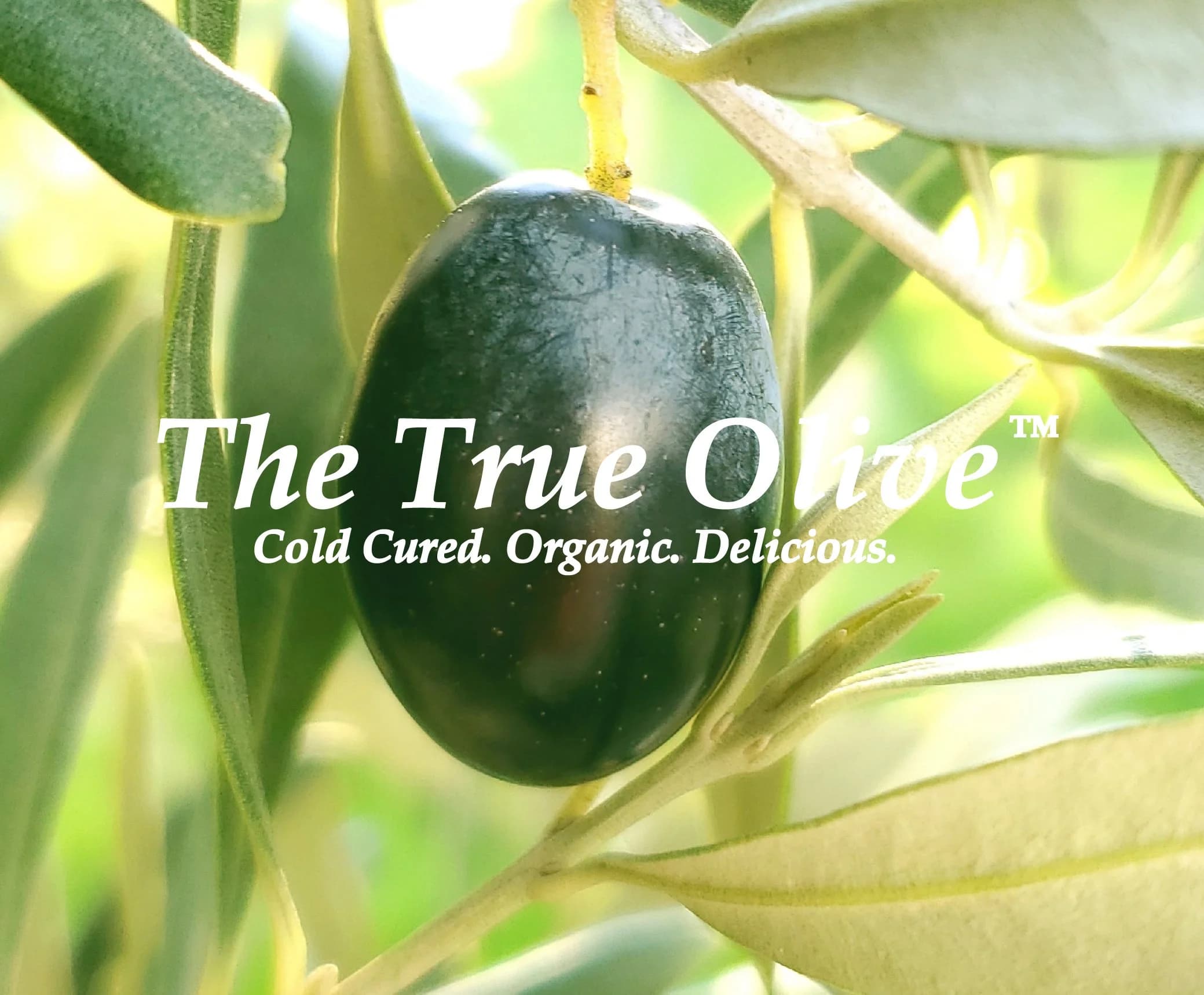 The Good Faith Organic Farm Inc