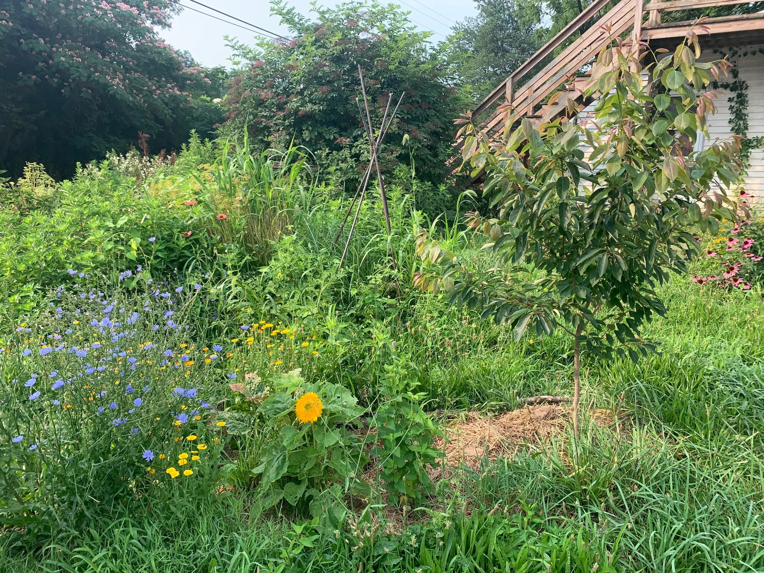 The Great Full Garden