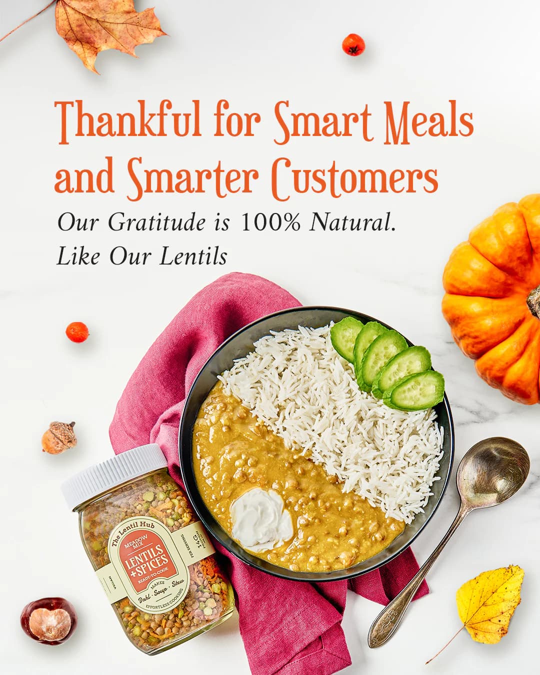 The Lentil Hub