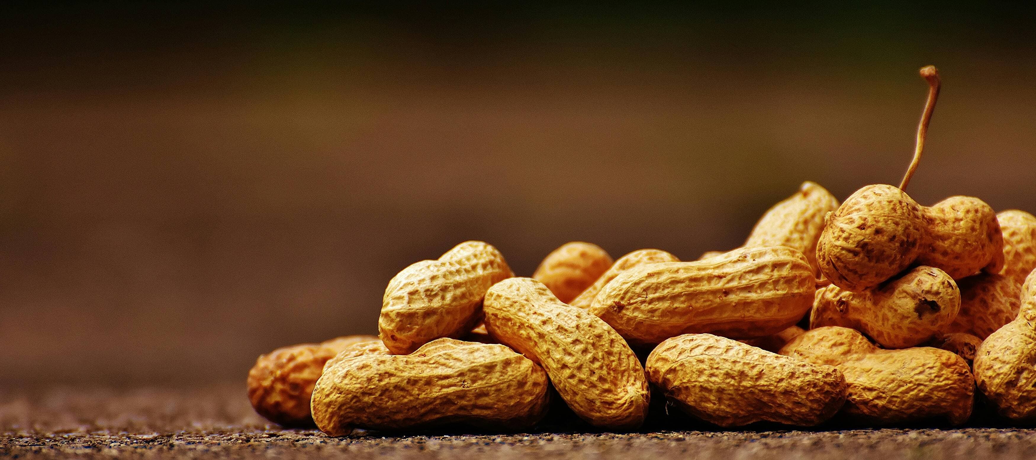 The Nutty Side