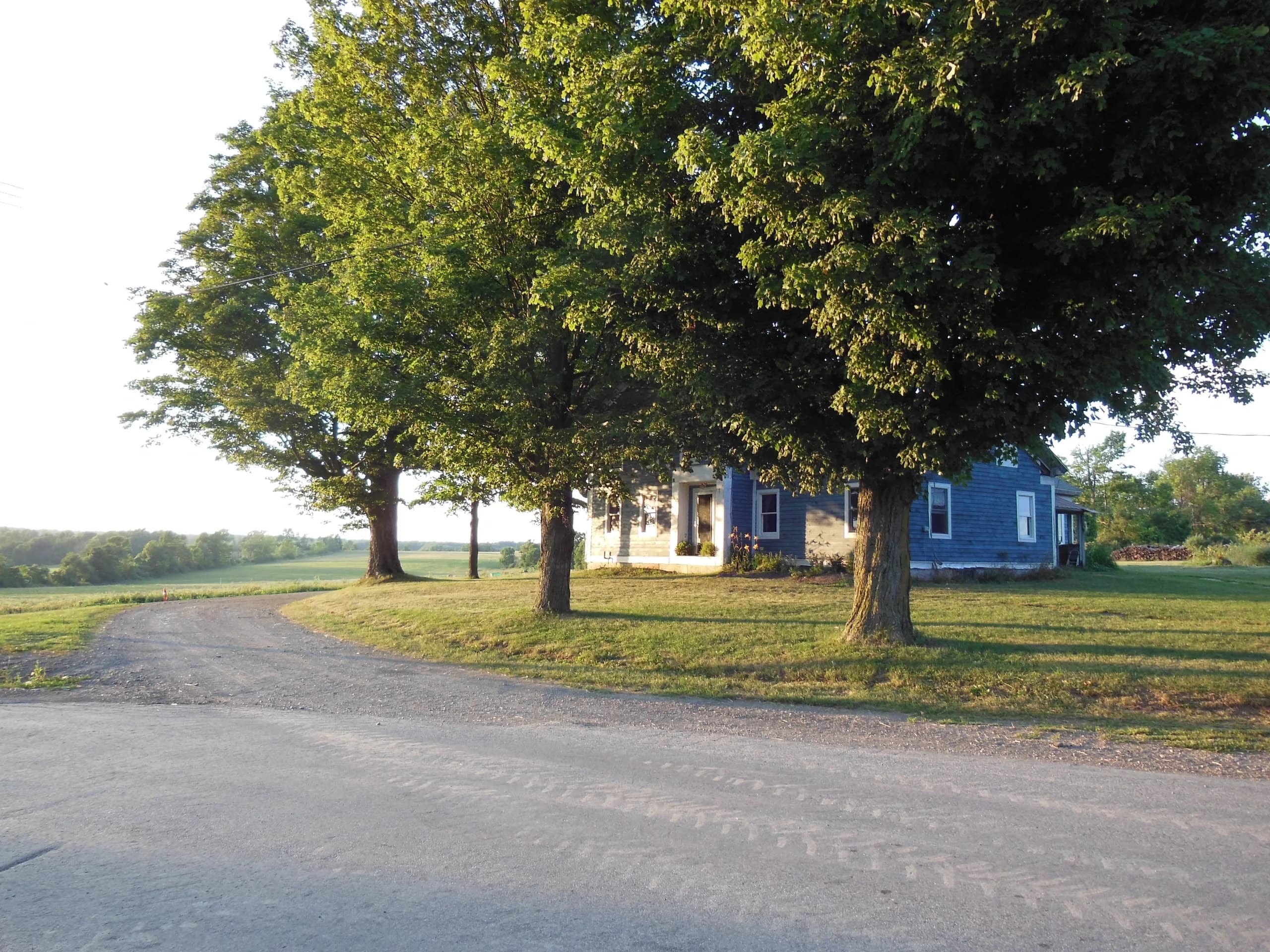 The Ortensi Farm & Equsterian Center photo 2