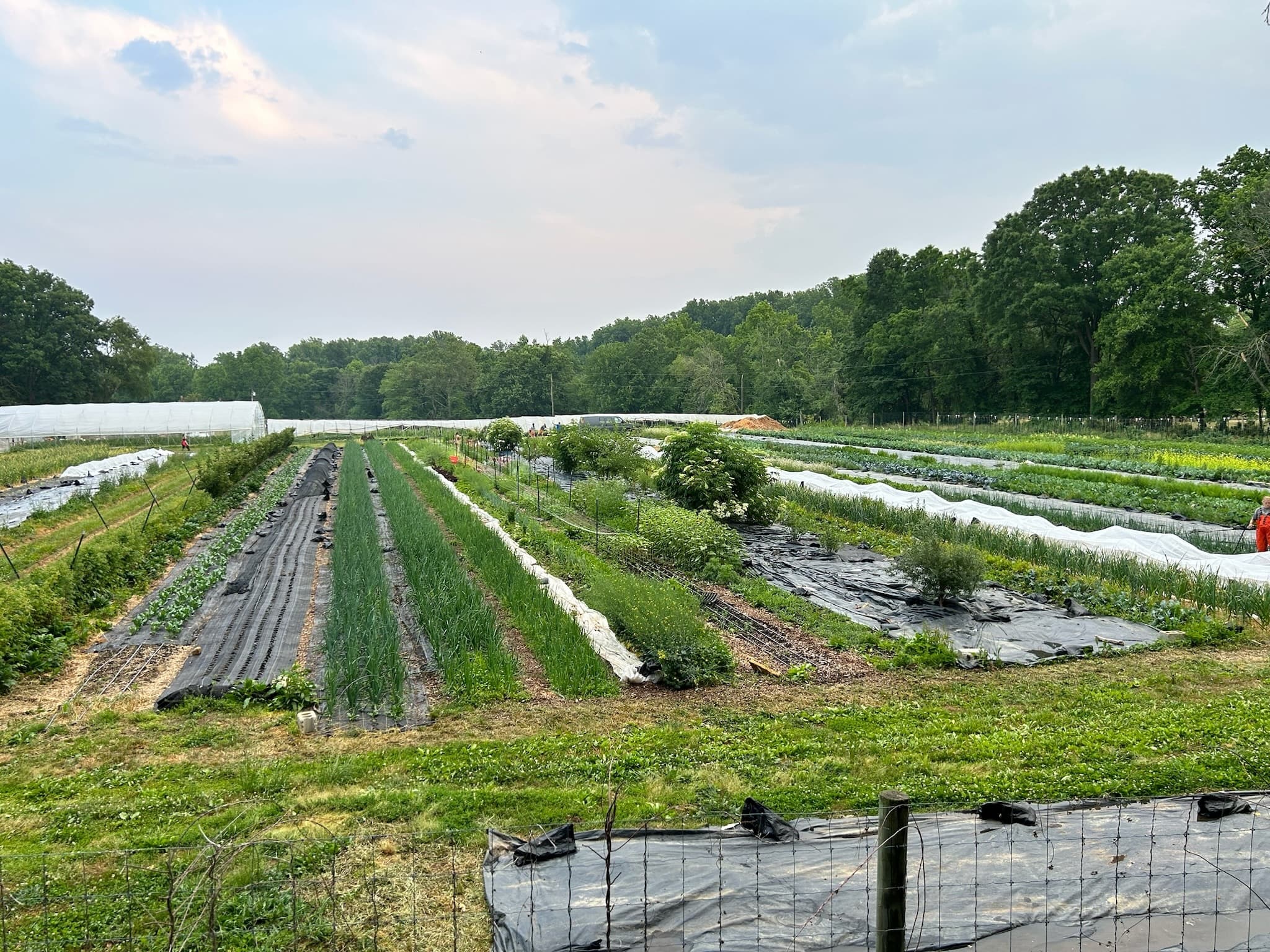Third Way Farm