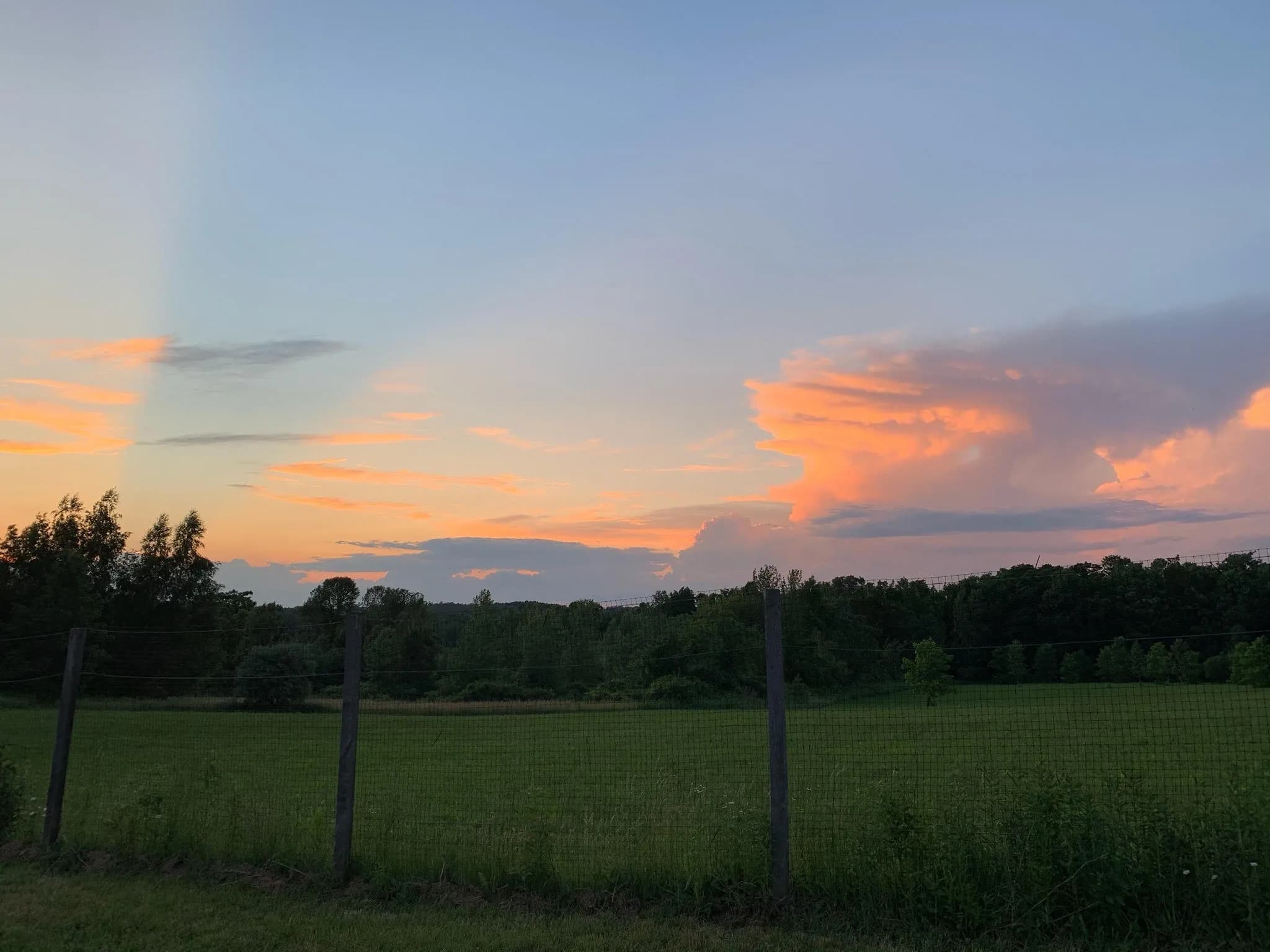 Thornbee Farm