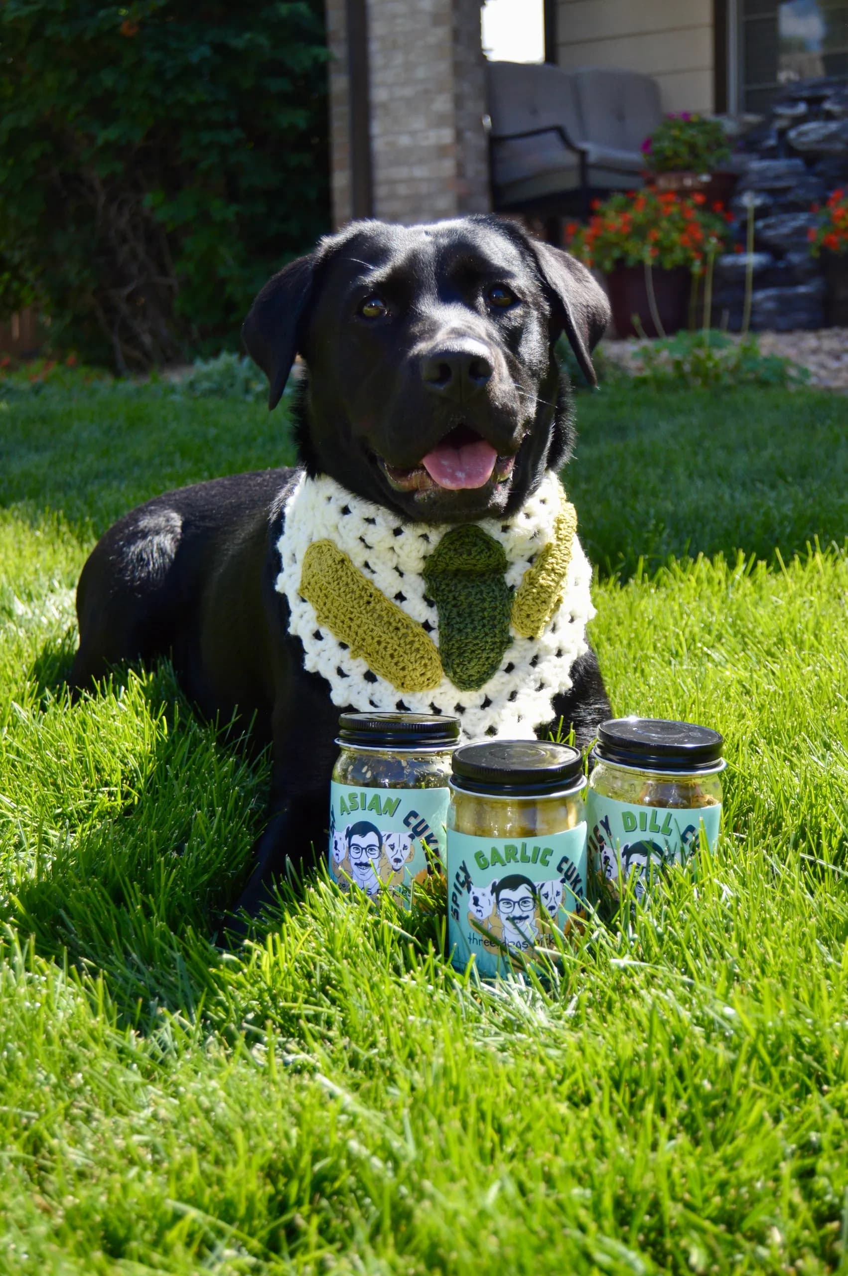 Three Dogs Pickles