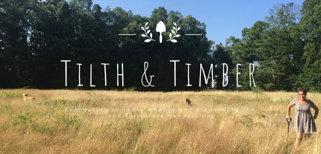 Tilth & Timber photo 2