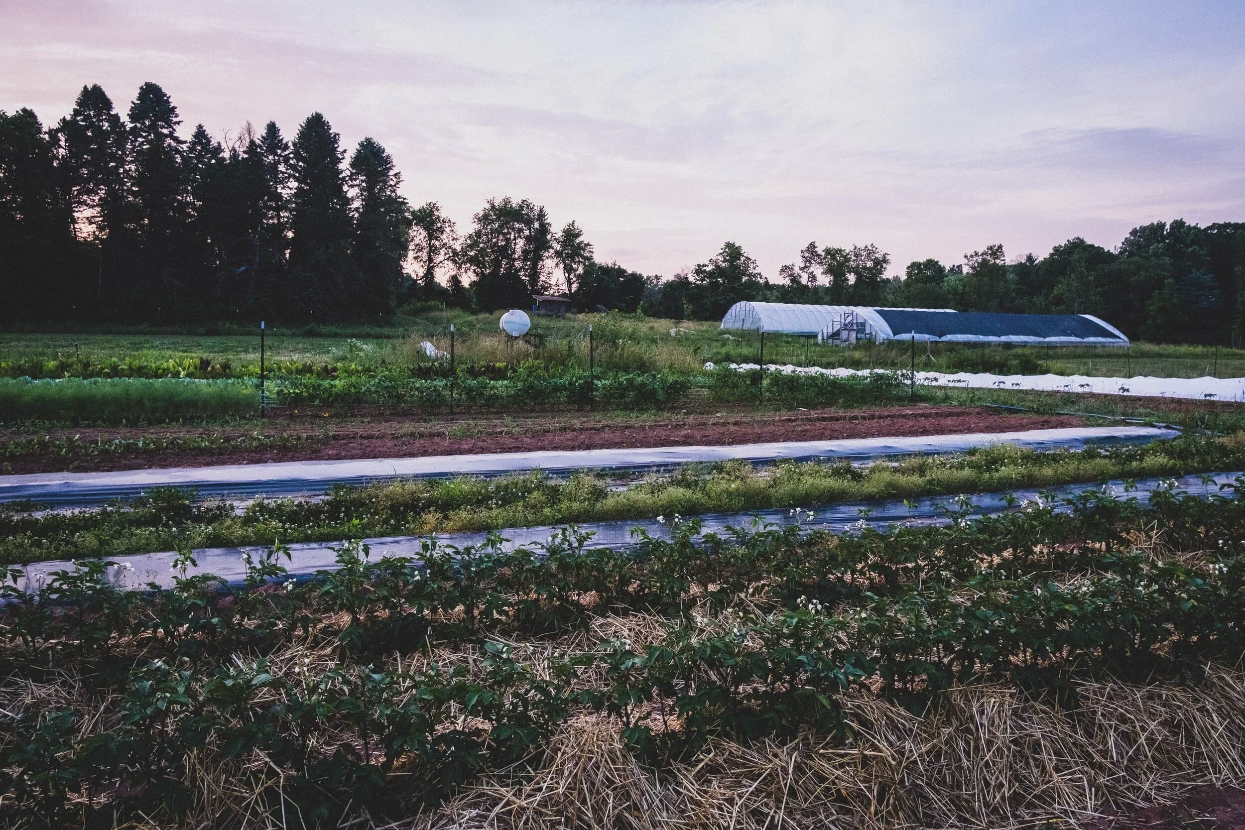 Tine & Toil Farm
