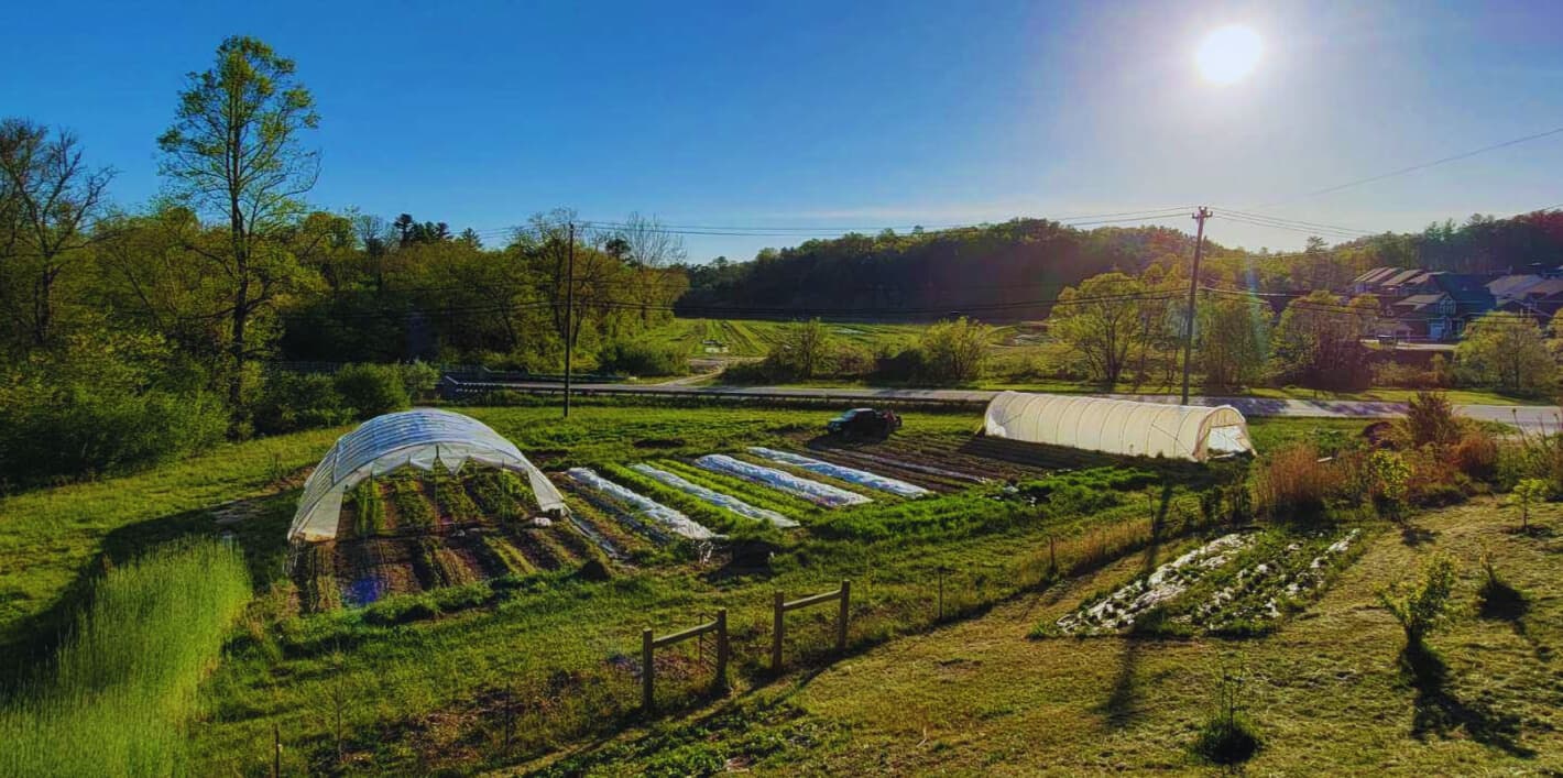 Tiny Bridge Farm photo 2